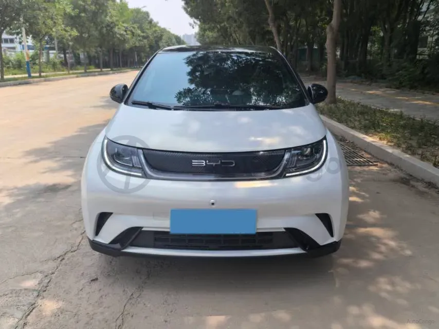 2023 BYD Dolphin BEV 44.928KWH,autocango,china used car exporter,china ev exporter,chinese used car exporter,chinese used ev exporter