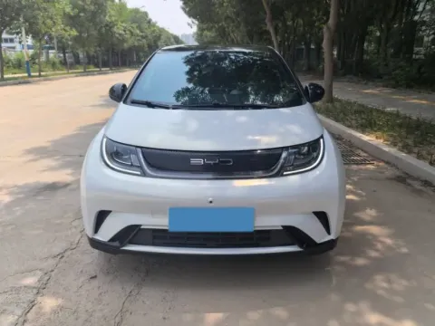 2023 BYD Dolphin BEV 44.928KWH