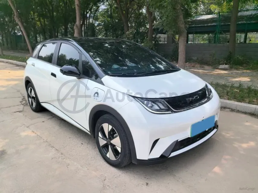 2023 BYD Dolphin BEV 44.928KWH,autocango,china used car exporter,china ev exporter,chinese used car exporter,chinese used ev exporter