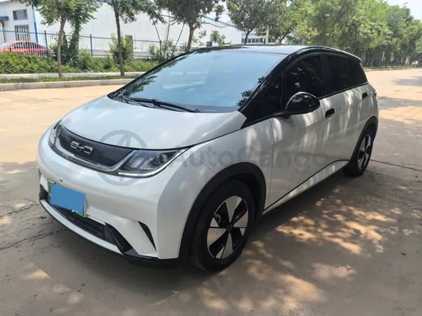 2023 BYD Dolphin BEV 44.928KWH,autocango,china used car exporter,china ev exporter,chinese used car exporter,chinese used ev exporter