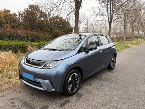 2025 BYD DOLPHIN,autocango,china used car exporter,china ev exporter,chinese used car exporter,chinese used ev exporter