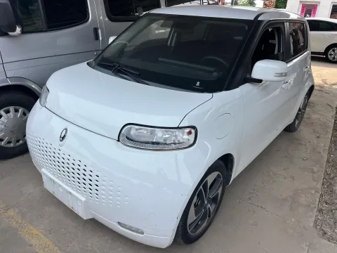 2020 ORA WHITECAT,autocango,china used car exporter,china ev exporter,chinese used car exporter,chinese used ev exporter