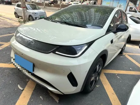 2025 BYD DOLPHIN,autocango,china used car exporter,china ev exporter,chinese used car exporter,chinese used ev exporter