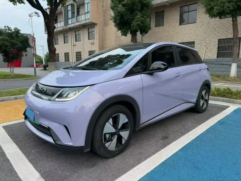 2023 BYD DOLPHIN,autocango,china used car exporter,china ev exporter,chinese used car exporter,chinese used ev exporter