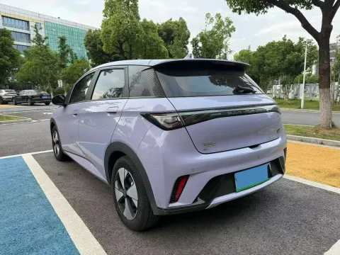 2023 BYD Dolphin BEV 44.928KWH