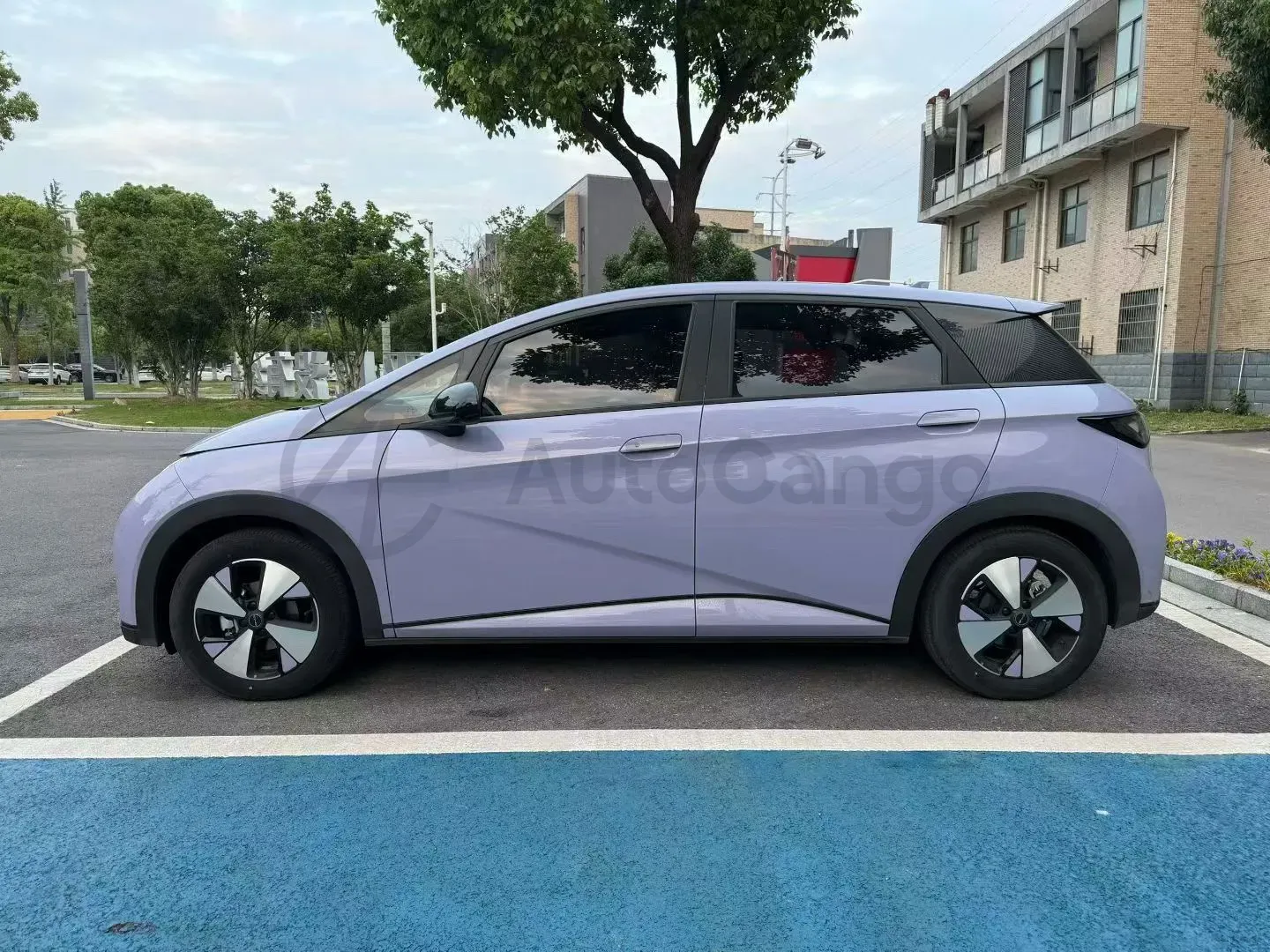 2023 BYD Dolphin BEV 44.928KWH,autocango,china used car exporter,china ev exporter,chinese used car exporter,chinese used ev exporter