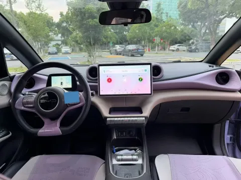 2023 BYD Dolphin BEV 44.928KWH