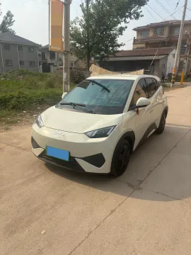 2025 BYD SEAGULL,autocango,china used car exporter,china ev exporter,chinese used car exporter,chinese used ev exporter