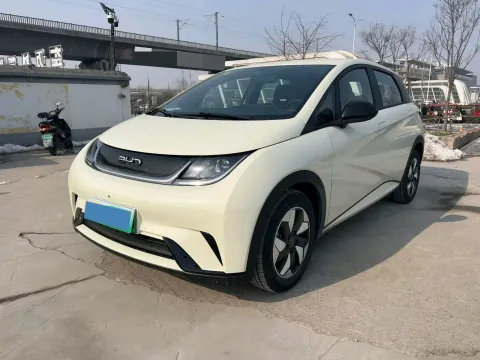 2025 BYD DOLPHIN,autocango,china used car exporter,china ev exporter,chinese used car exporter,chinese used ev exporter