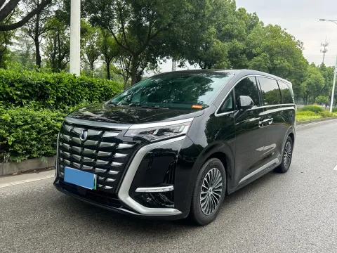 2024 DENZA D9,autocango,china used car exporter,china ev exporter,chinese used car exporter,chinese used ev exporter