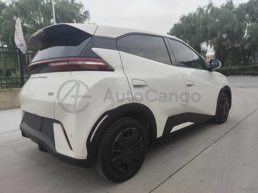 2023 BYD Seagull BEV 30.08KWH,autocango,china used car exporter,china ev exporter,chinese used car exporter,chinese used ev exporter
