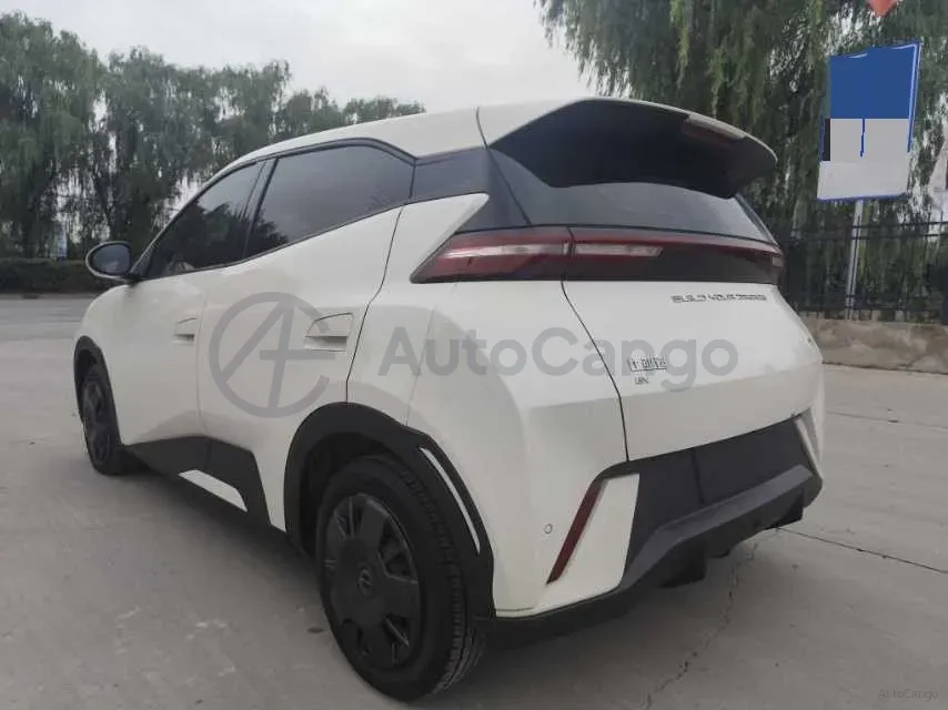 2023 BYD Seagull BEV 30.08KWH,autocango,china used car exporter,china ev exporter,chinese used car exporter,chinese used ev exporter