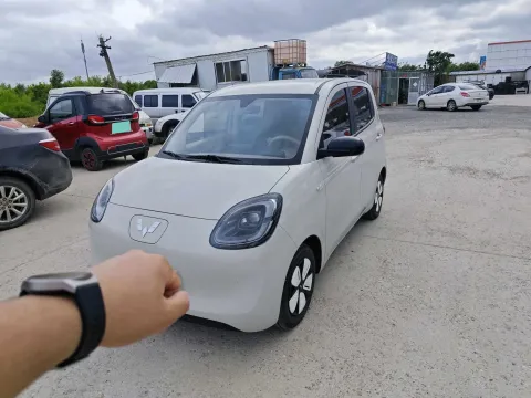 2023 WuLing BinGuo BEV 17.3KWH,autocango,china used car exporter,china ev exporter,chinese used car exporter,chinese used ev exporter