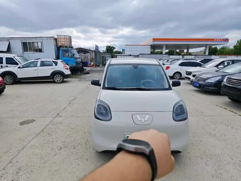 2023 WuLing BinGuo BEV 17.3KWH,autocango,china used car exporter,china ev exporter,chinese used car exporter,chinese used ev exporter