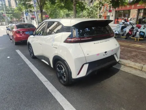 2023 BYD Seagull BEV 38.88KWH