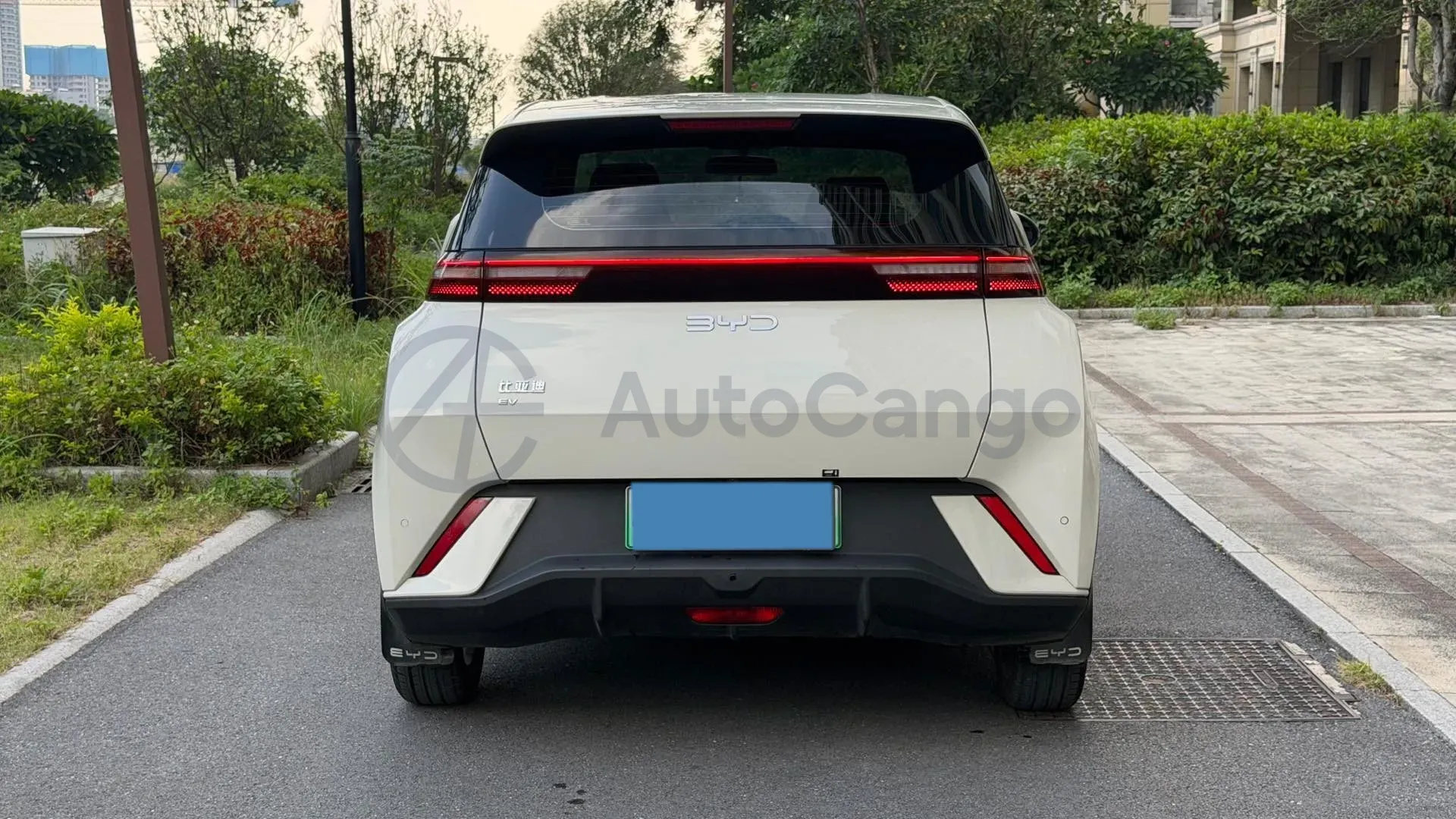 2025 BYD Seagull BEV 30.08KWH,autocango,china used car exporter,china ev exporter,chinese used car exporter,chinese used ev exporter