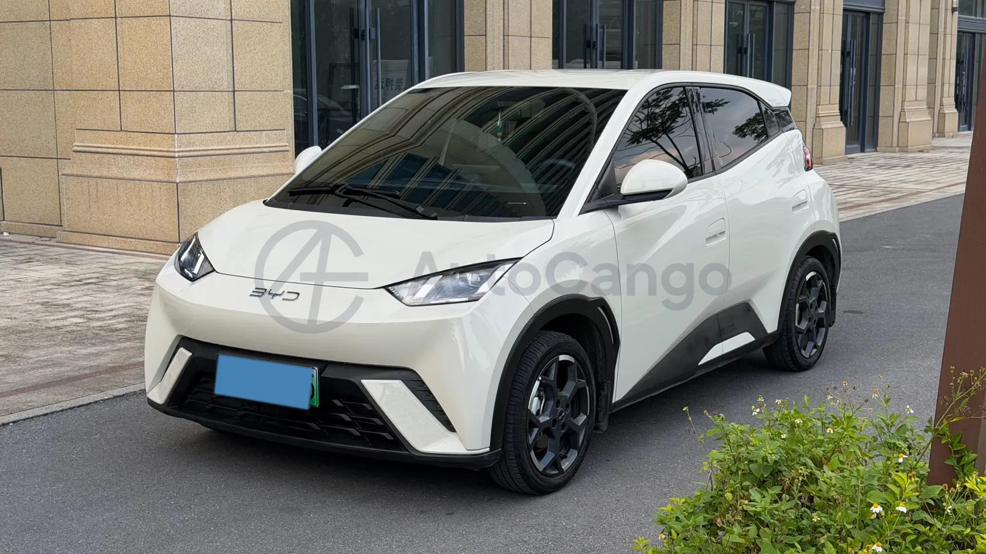 2025 BYD Seagull BEV 30.08KWH,autocango,china used car exporter,china ev exporter,chinese used car exporter,chinese used ev exporter