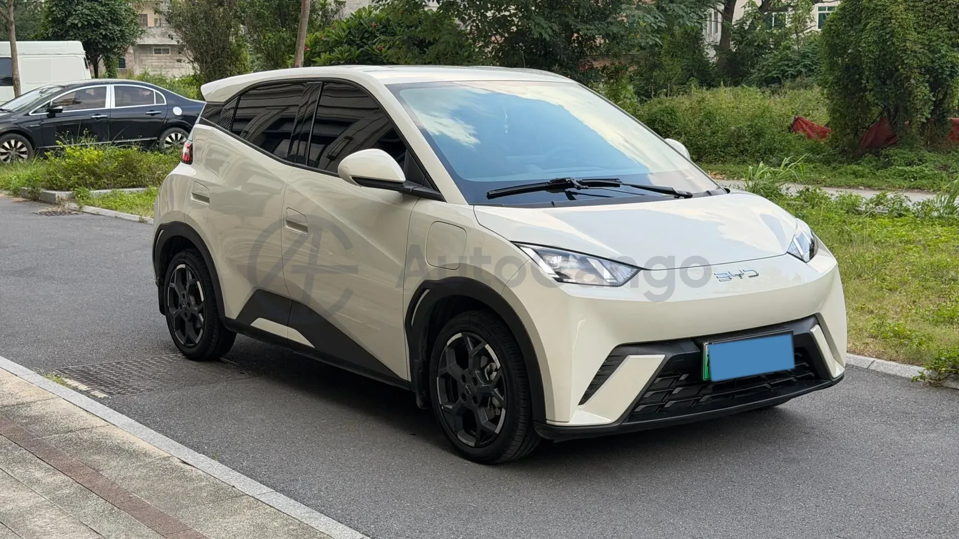 2025 BYD Seagull BEV 30.08KWH,autocango,china used car exporter,china ev exporter,chinese used car exporter,chinese used ev exporter