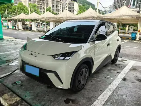 2024 BYD SEAGULL,autocango,china used car exporter,china ev exporter,chinese used car exporter,chinese used ev exporter