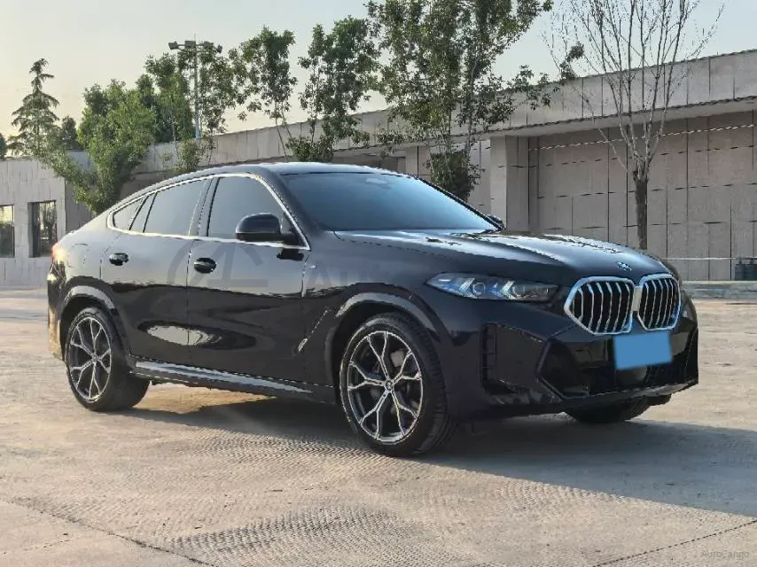 2023 BMW X6 3.0T 381HP L6 8AT,autocango,china used car exporter,china ev exporter,chinese used car exporter,chinese used ev exporter