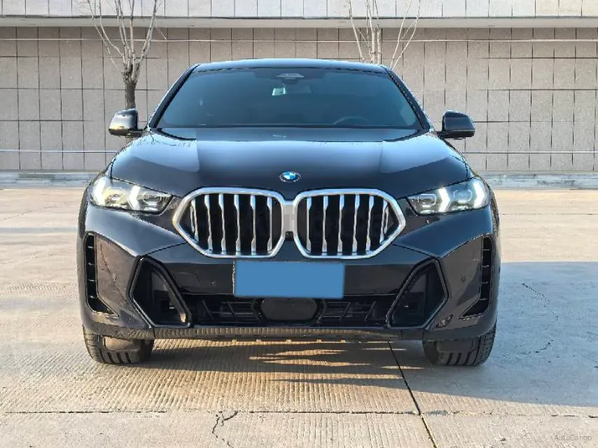 2023 BMW X6 3.0T 381HP L6 8AT,autocango,china used car exporter,china ev exporter,chinese used car exporter,chinese used ev exporter