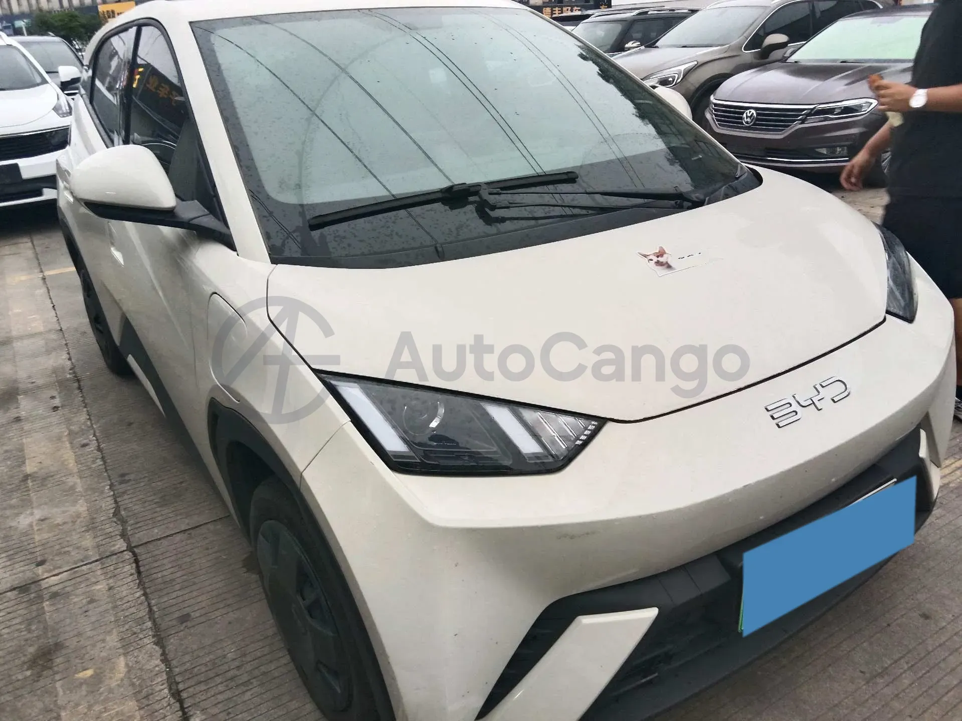 2023 BYD Seagull BEV 30.08KWH,autocango,china used car exporter,china ev exporter,chinese used car exporter,chinese used ev exporter