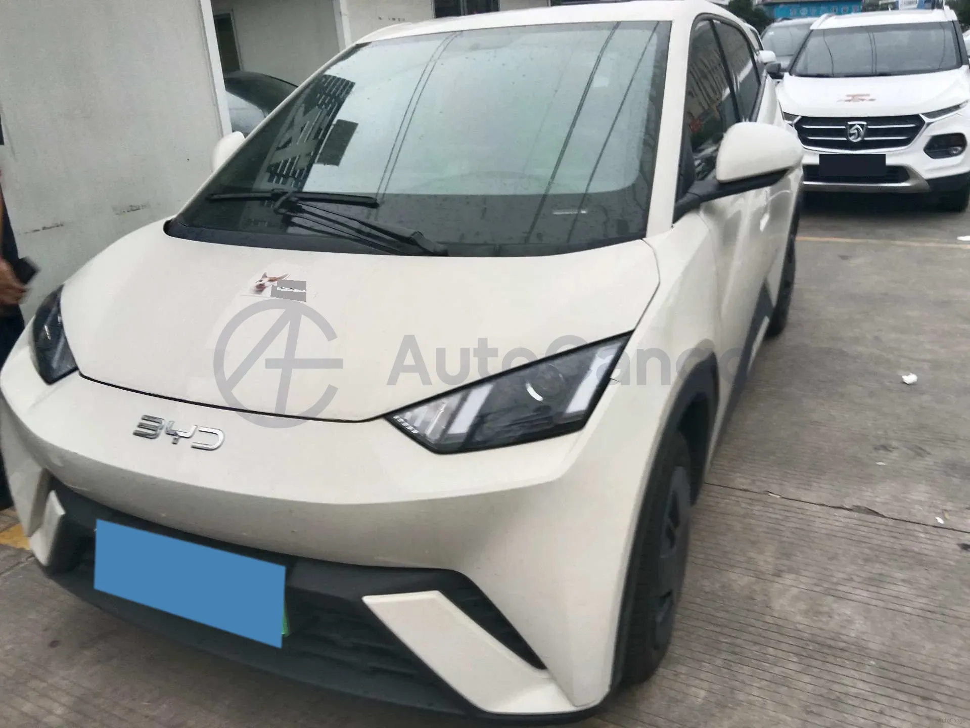 2023 BYD Seagull BEV 30.08KWH,autocango,china used car exporter,china ev exporter,chinese used car exporter,chinese used ev exporter