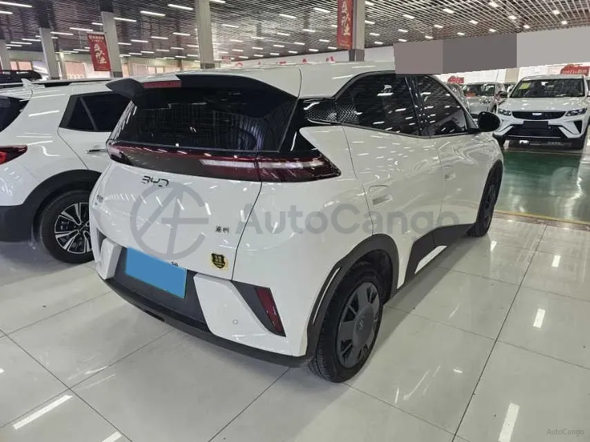 2024 BYD Seagull BEV 30.08KWH,autocango,china used car exporter,china ev exporter,chinese used car exporter,chinese used ev exporter