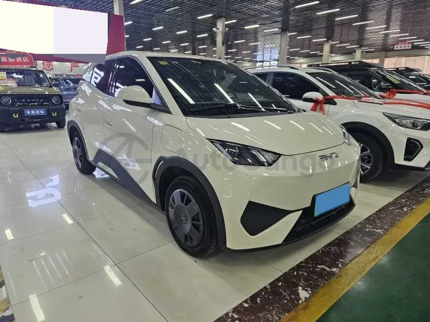 2024 BYD Seagull BEV 30.08KWH,autocango,china used car exporter,china ev exporter,chinese used car exporter,chinese used ev exporter
