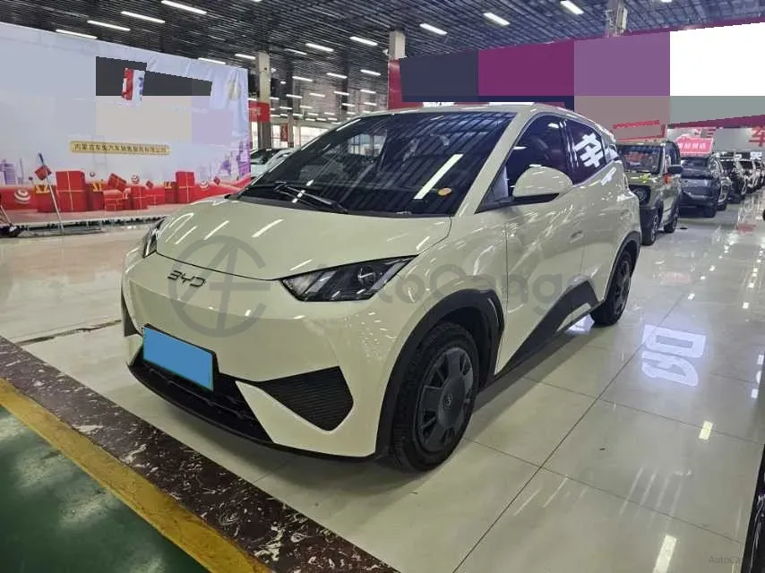 2024 BYD Seagull BEV 30.08KWH,autocango,china used car exporter,china ev exporter,chinese used car exporter,chinese used ev exporter