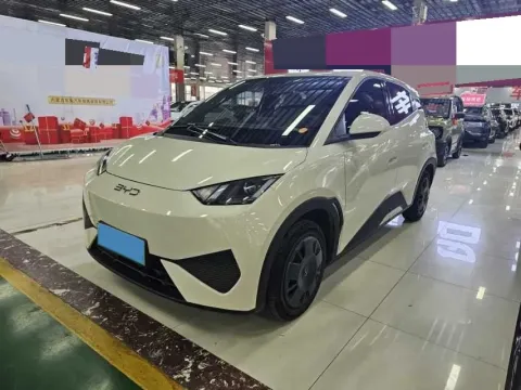 2024 BYD SEAGULL,autocango,china used car exporter,china ev exporter,chinese used car exporter,chinese used ev exporter