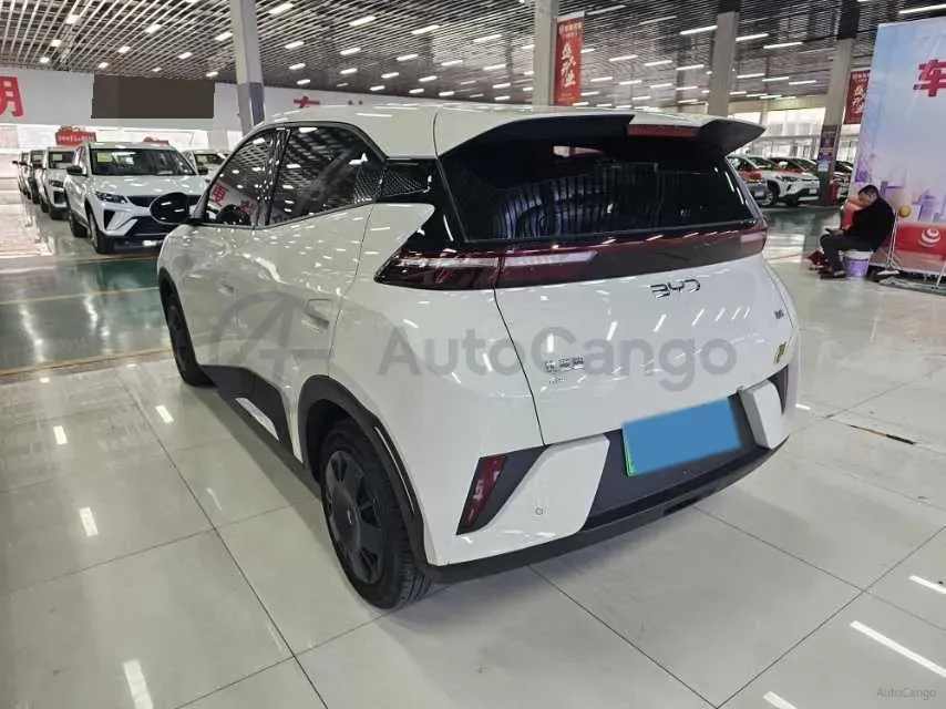 2024 BYD Seagull BEV 30.08KWH,autocango,china used car exporter,china ev exporter,chinese used car exporter,chinese used ev exporter