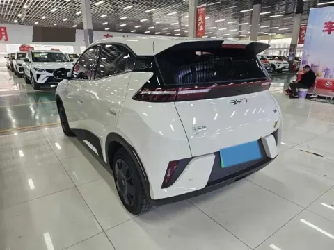 2024 BYD Seagull BEV 30.08KWH