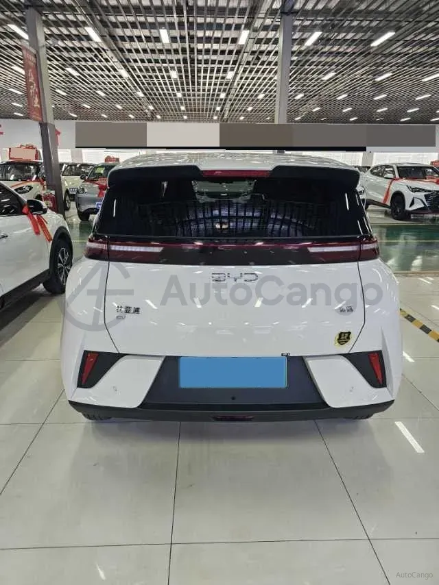 2024 BYD Seagull BEV 30.08KWH,autocango,china used car exporter,china ev exporter,chinese used car exporter,chinese used ev exporter