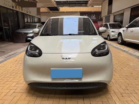 2023 WuLing BinGuo BEV 17.3KWH,autocango,china used car exporter,china ev exporter,chinese used car exporter,chinese used ev exporter