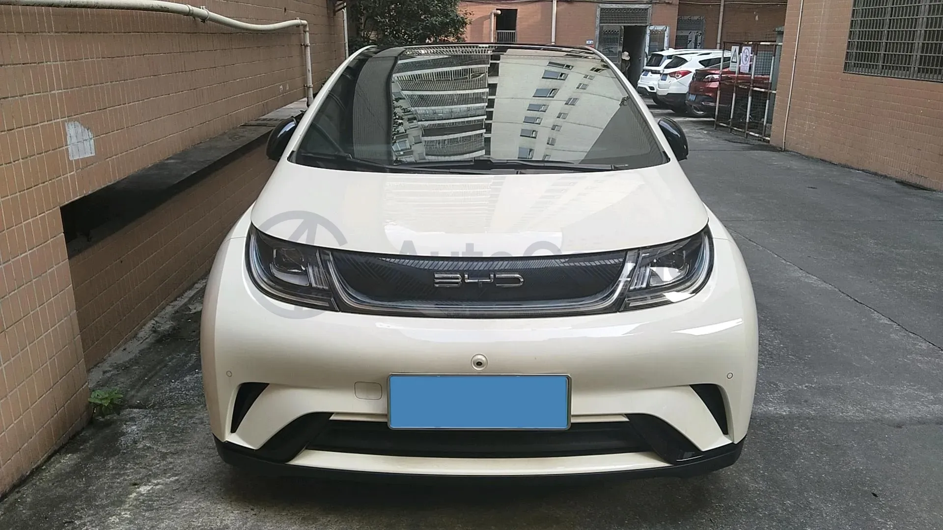 2023 BYD Dolphin BEV 44.928KWH,autocango,china used car exporter,china ev exporter,chinese used car exporter,chinese used ev exporter