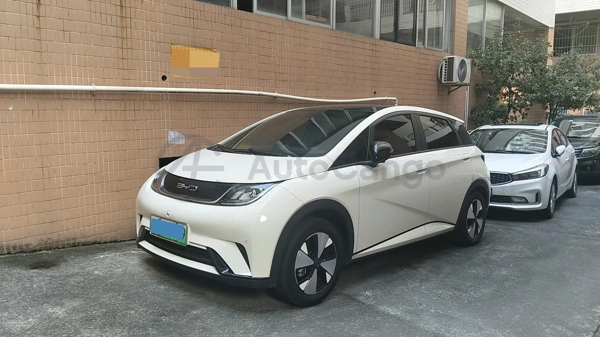 2023 BYD Dolphin BEV 44.928KWH,autocango,china used car exporter,china ev exporter,chinese used car exporter,chinese used ev exporter