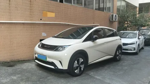2023 BYD DOLPHIN,autocango,china used car exporter,china ev exporter,chinese used car exporter,chinese used ev exporter