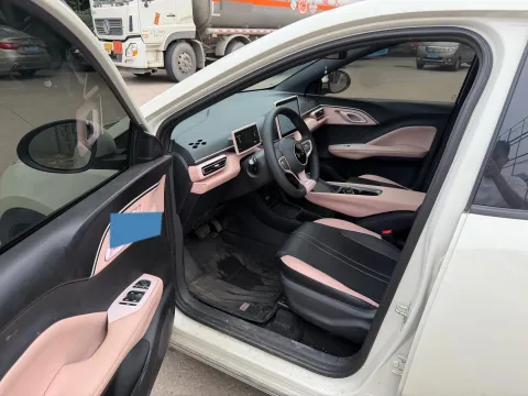 2025 BYD Seagull BEV 30.08KWH