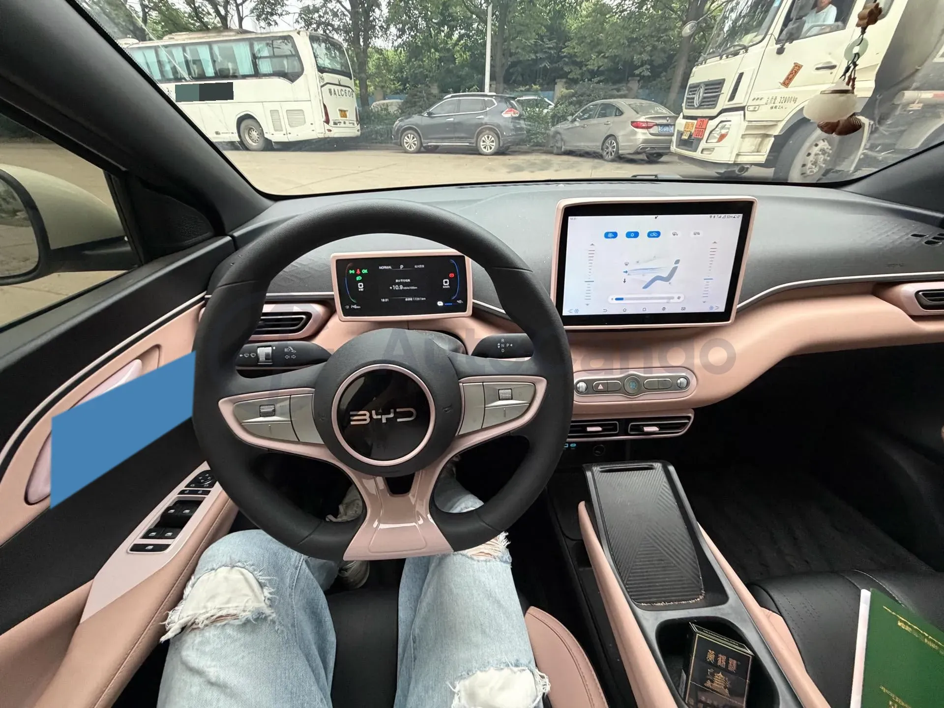 2025 BYD Seagull BEV 30.08KWH,autocango,china used car exporter,china ev exporter,chinese used car exporter,chinese used ev exporter