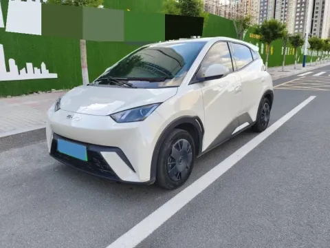 2025 BYD SEAGULL,autocango,china used car exporter,china ev exporter,chinese used car exporter,chinese used ev exporter