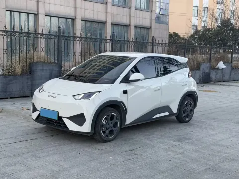 2025 BYD SEAGULL,autocango,china used car exporter,china ev exporter,chinese used car exporter,chinese used ev exporter