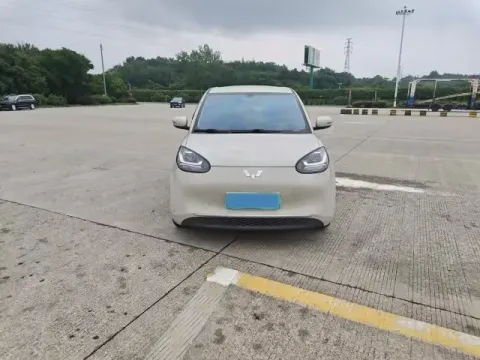 2023 WuLing BinGuo BEV 17.3KWH,autocango,china used car exporter,china ev exporter,chinese used car exporter,chinese used ev exporter
