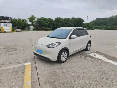 2023 WuLing BinGuo BEV 17.3KWH,autocango,china used car exporter,china ev exporter,chinese used car exporter,chinese used ev exporter