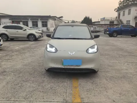 2023 WuLing BinGuo BEV 31.9KWH,autocango,china used car exporter,china ev exporter,chinese used car exporter,chinese used ev exporter