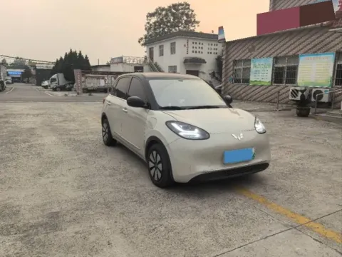 2023 WuLing BinGuo BEV 31.9KWH,autocango,china used car exporter,china ev exporter,chinese used car exporter,chinese used ev exporter