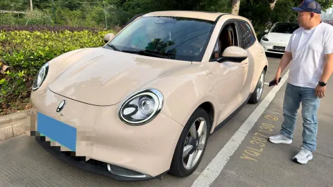 2021 ORA FUNKYCAT,autocango,china used car exporter,china ev exporter,chinese used car exporter,chinese used ev exporter