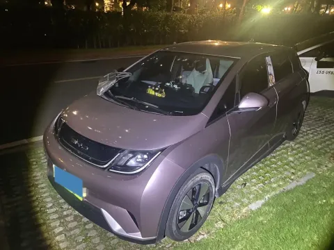 2023 BYD DOLPHIN,autocango,china used car exporter,china ev exporter,chinese used car exporter,chinese used ev exporter