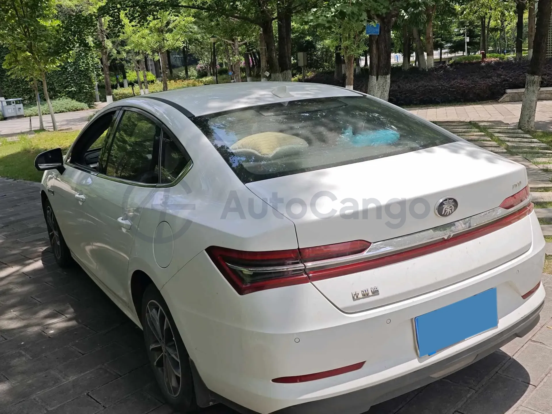 2020 BYD Qin Pro 1.5T 160HP L4 6DCT,autocango,china used car exporter,china ev exporter,chinese used car exporter,chinese used ev exporter