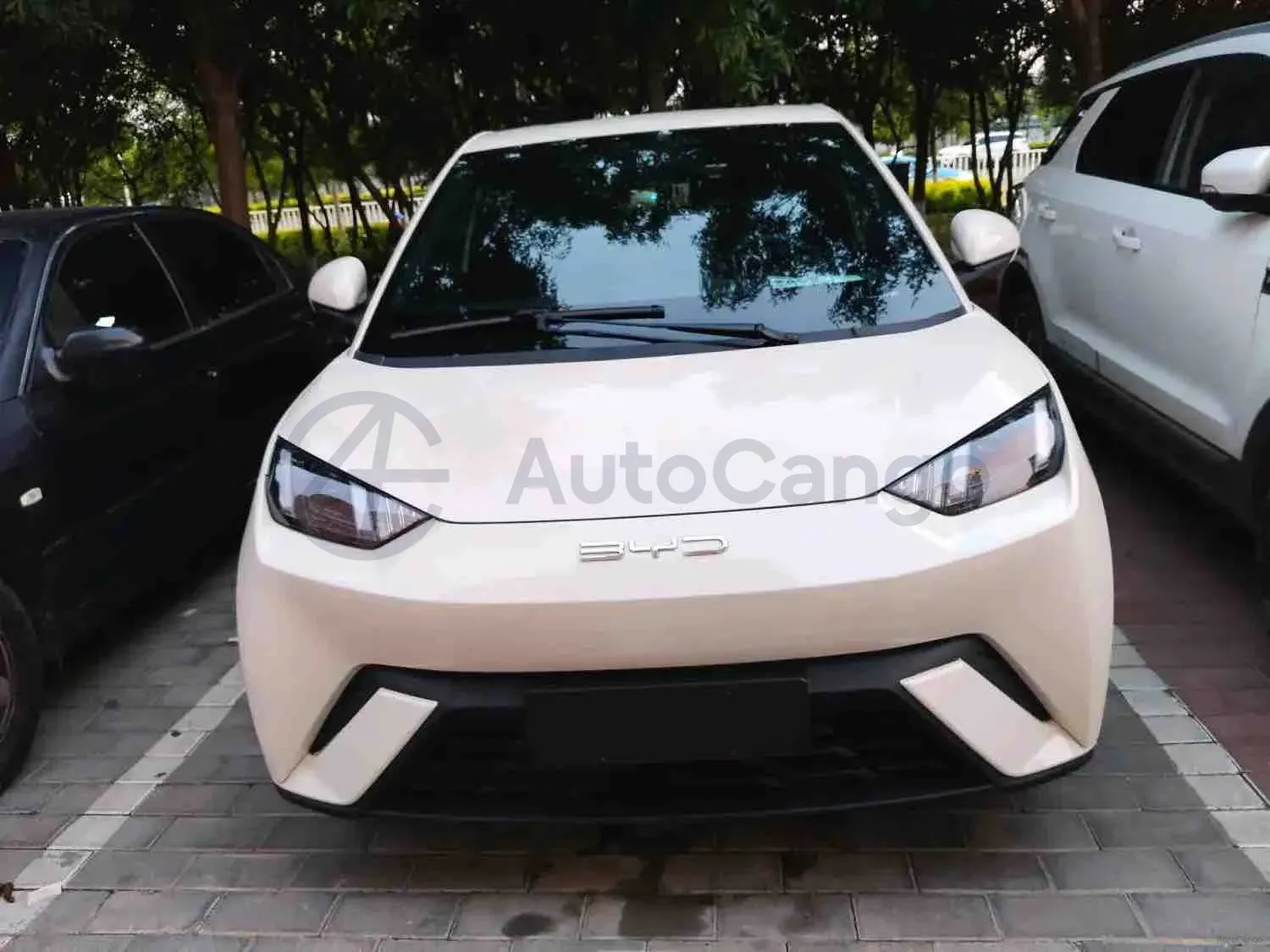 2023 BYD Seagull BEV 30.08KWH,autocango,china used car exporter,china ev exporter,chinese used car exporter,chinese used ev exporter